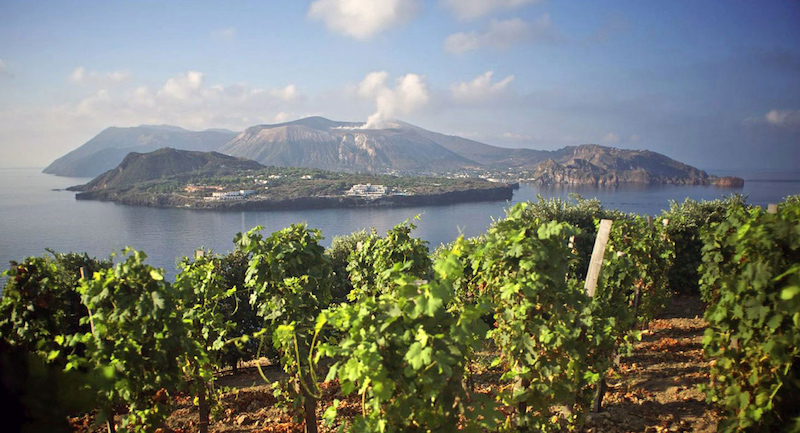 Sicily for Wine Lovers - Dazzled Dazzled